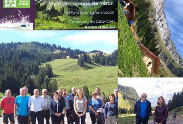 ⛰ Visite de l’alpage de Véran à Sallanches et des réalisations pastorales soutenues par le Département