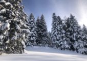 🏔🎿 Stations de ski : le gouvernement a confirmé aujourd’hui la prolongation de la fermeture des remontées mécaniques.