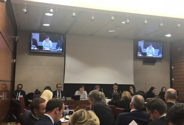 Audition de Roxana Maracineanu, ministre des sports, en commission