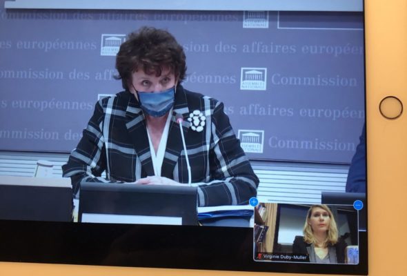 Audition de Roselyne Bachelot sur les conséquences de la crise sanitaire pour le secteur culturel et ses acteurs